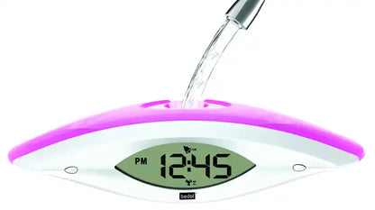 WInk Bedol Water Clock Raspberry